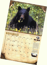 wildlife calendar