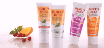Burts Bees Toothpaste