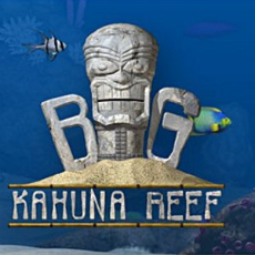 Big Kahuna Reef Kahuna Reef w230 h230 FREE Big Kahuna Reef Game Download From Amazon