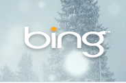 Bing