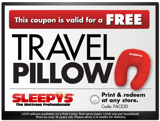 FREE Travel Pillow