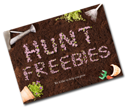 H4F-Card