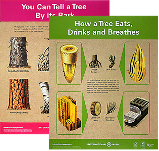 Life of the Forest Teacher Packet Life of the Forest Teacher Packet FREE Life of the Forest Teacher Packet Kit