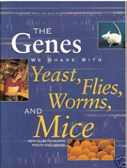 The Genes We Share with Yeast Flies Worms and Mice Book FREE The Genes We Share with Yeast, Flies, Worms and Mice Book