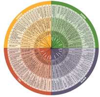 Walnuts-flavor-wheel Walnuts flavor wheel FREE California Walnuts Recipe Cards and Flavor Wheel