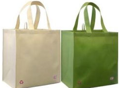 Reusable Shopping Bag1