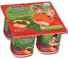 Stonyfield Farm YoToddler Yogurt Possible: FREE Stonyfield Farm YoToddler Yogurt