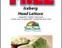 Farm-Fresh-Lettuce