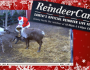 Reindeer-Cam