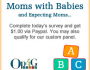 Moms-Survey