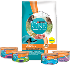 Purina ONE Healthy Metabolism FREE Sample of Purina ONE Healthy Metabolism Cat Food